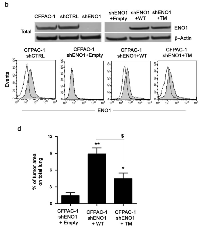 fig3b