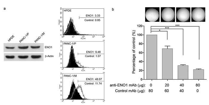 fig4a