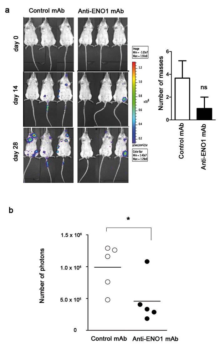 fig5a