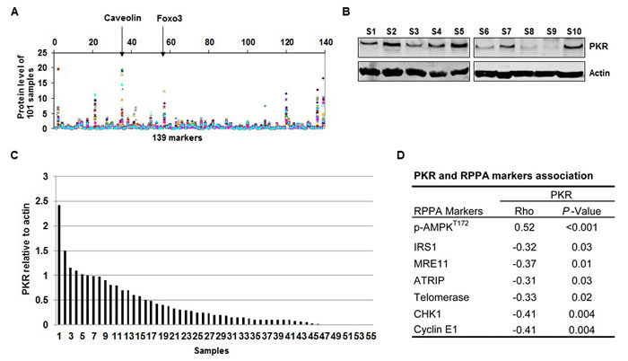 fig1