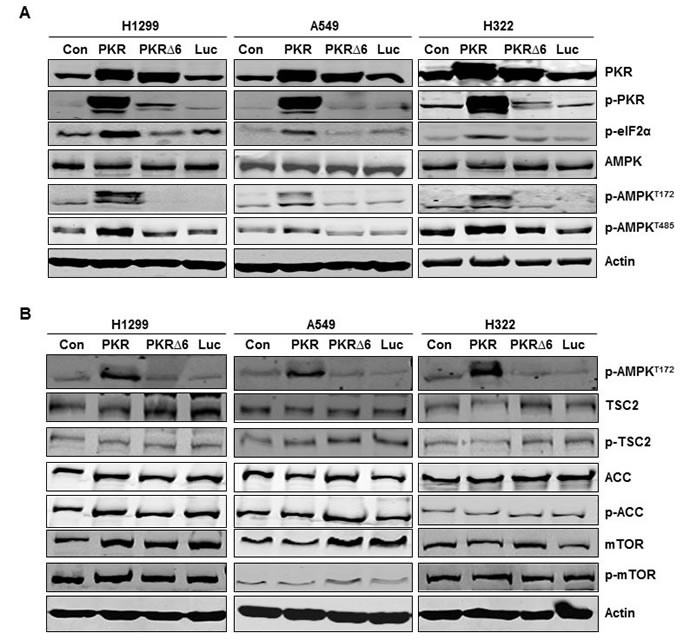 fig2