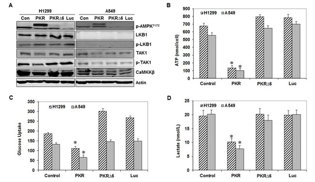 fig3