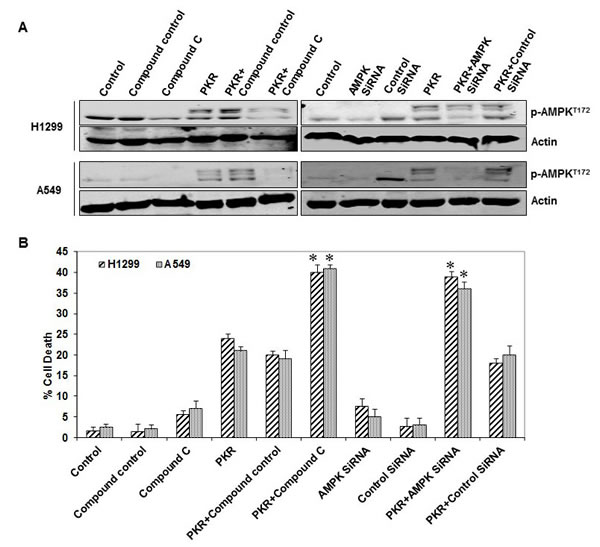 fig4