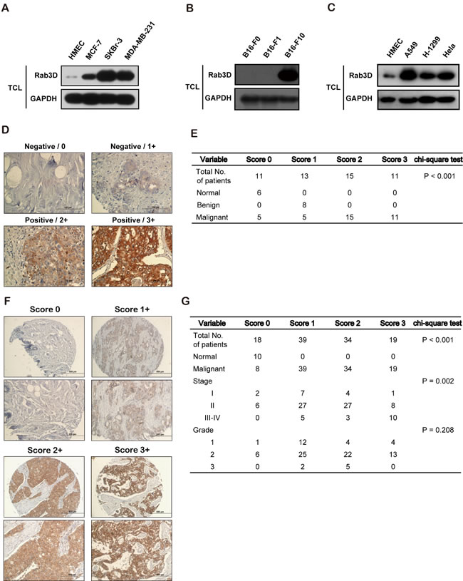 fig1