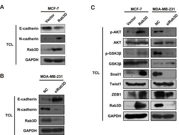 fig4