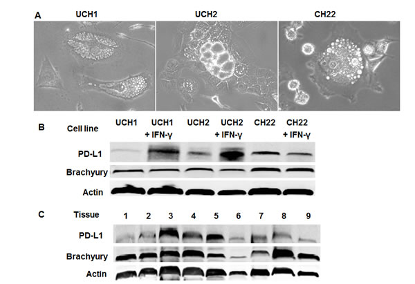 fig1