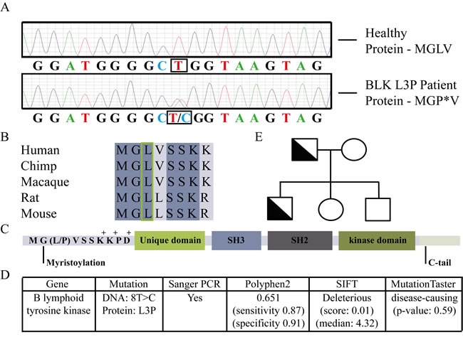 fig1