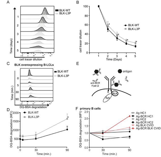 fig3