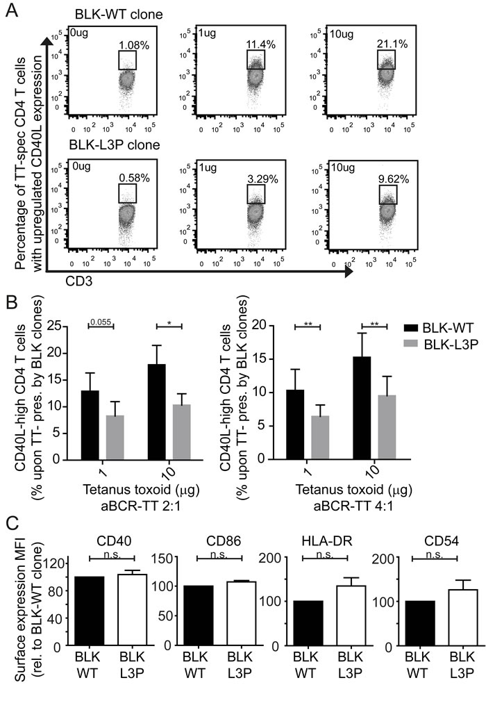 fig4