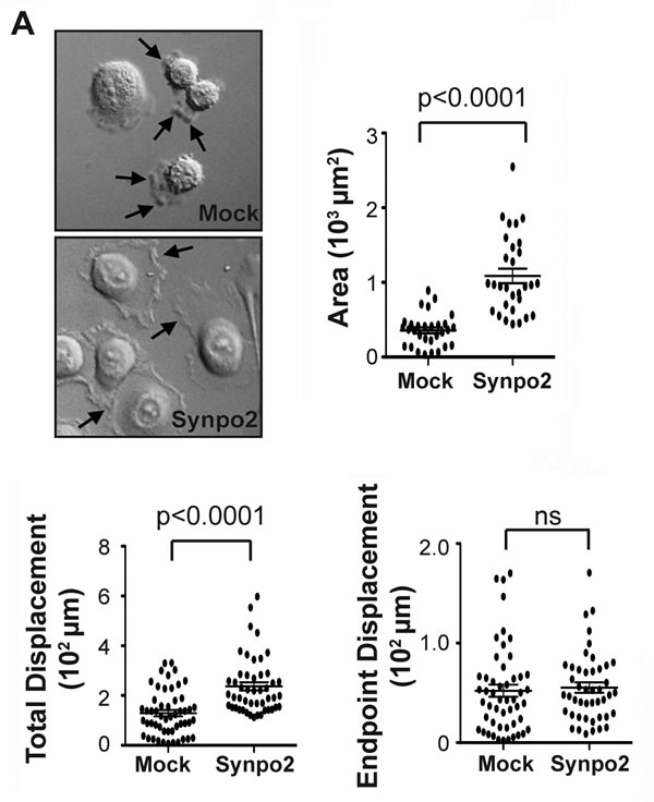 fig1