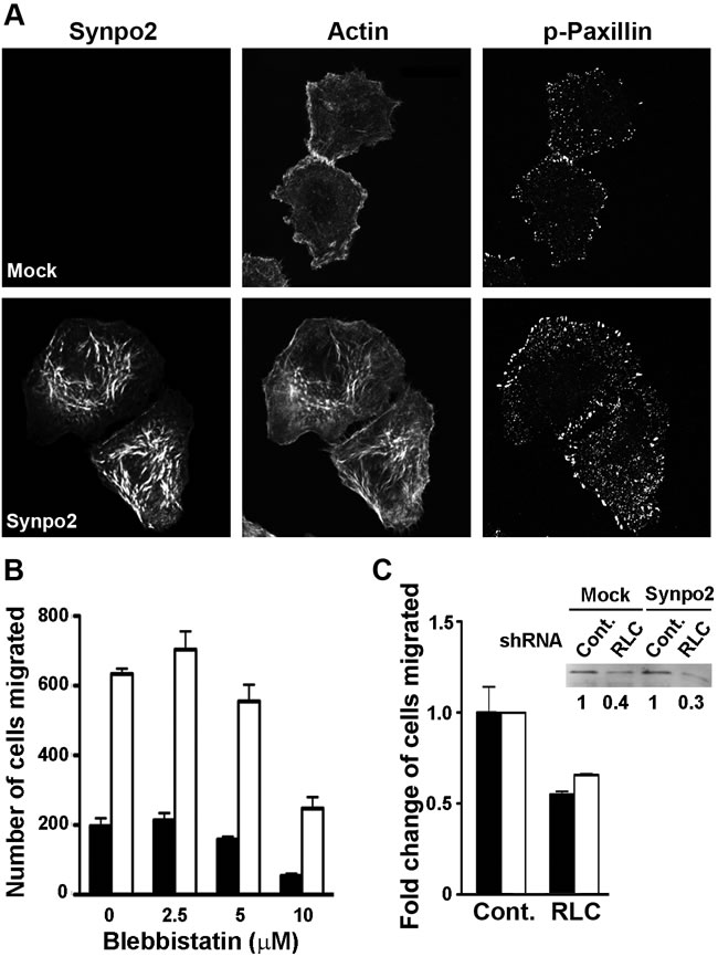 fig6