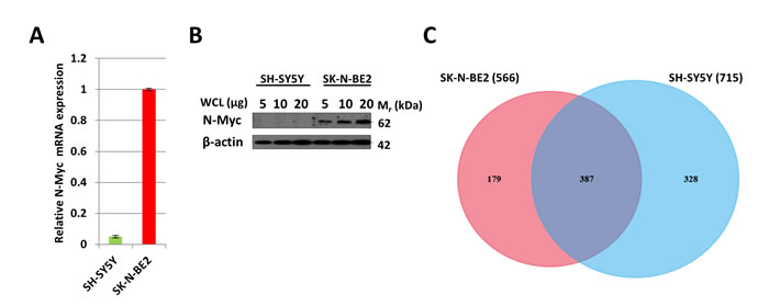 fig1a