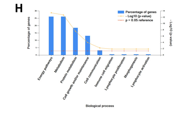 fig1f