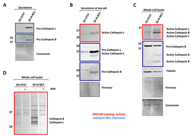 fig3