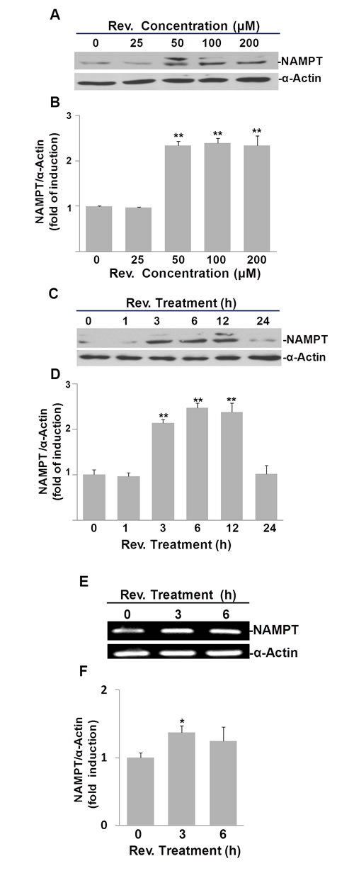 fig2