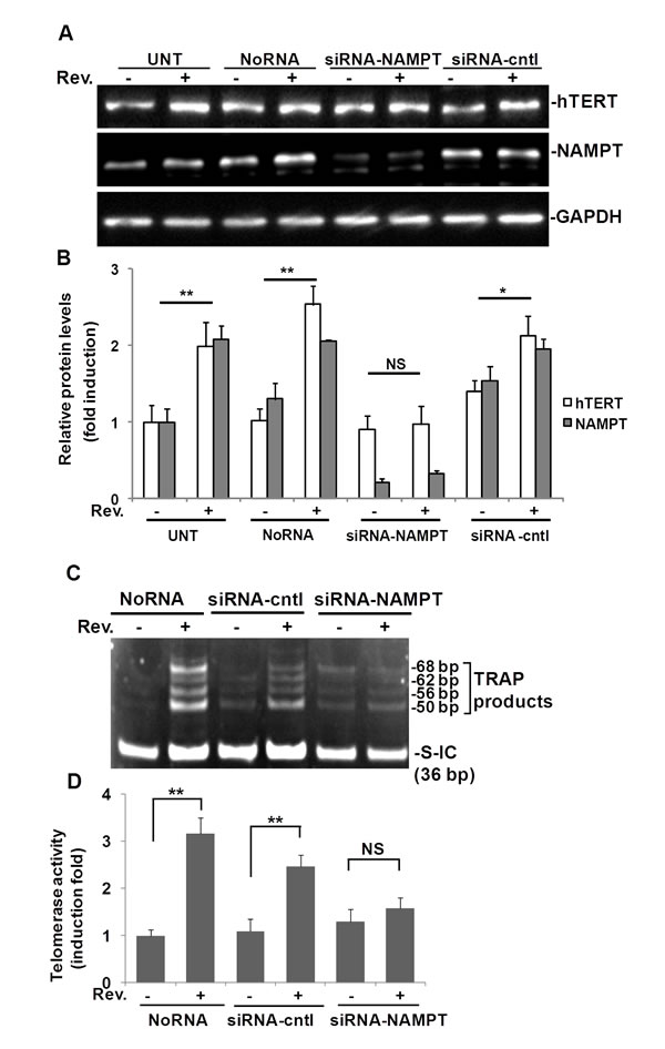 fig3