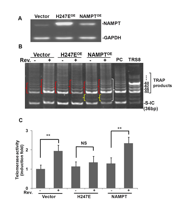 fig4
