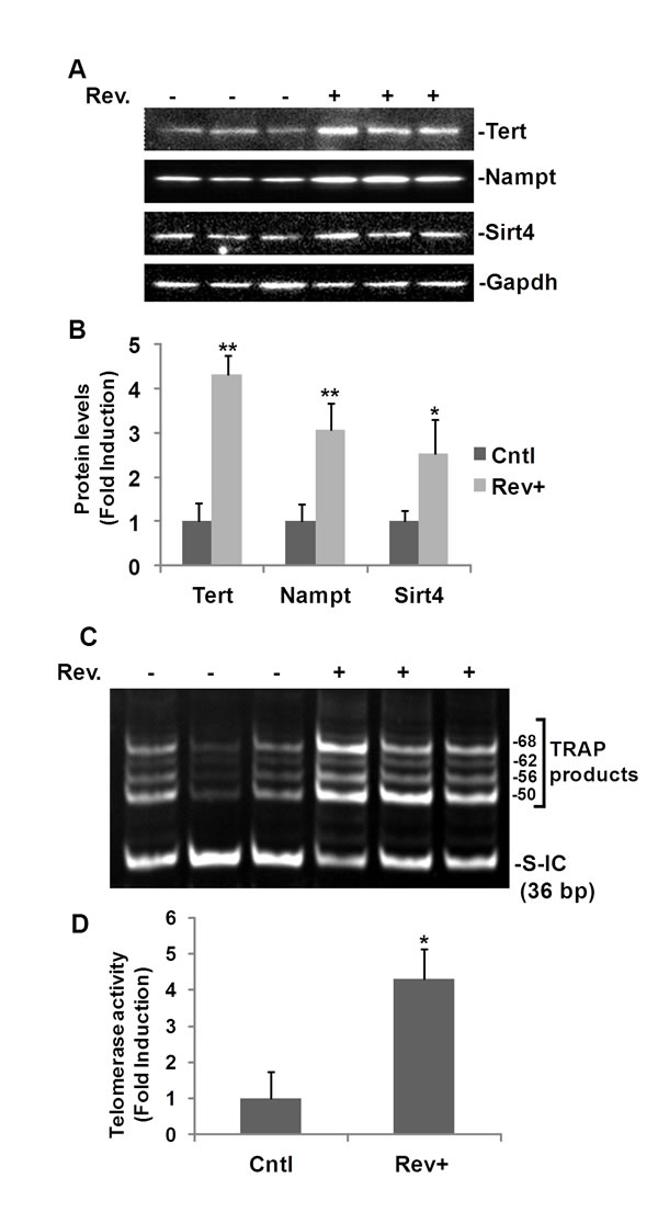 fig6