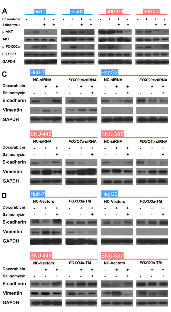 fig3a