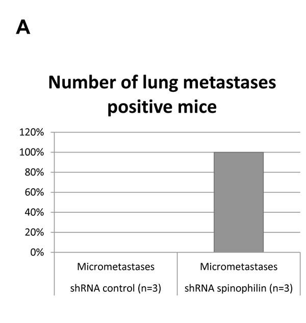 fig4a