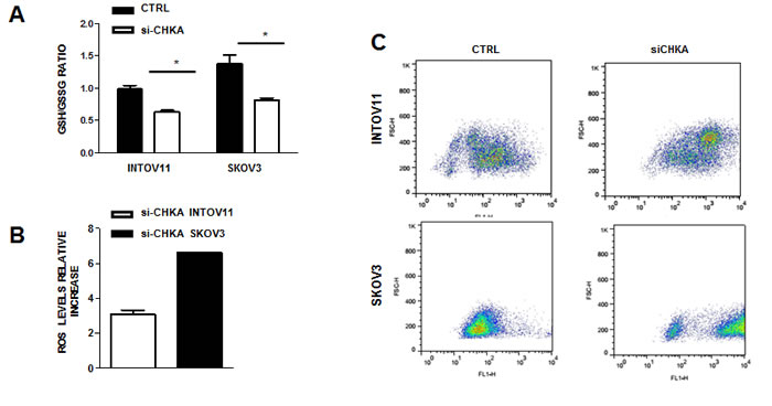 fig3