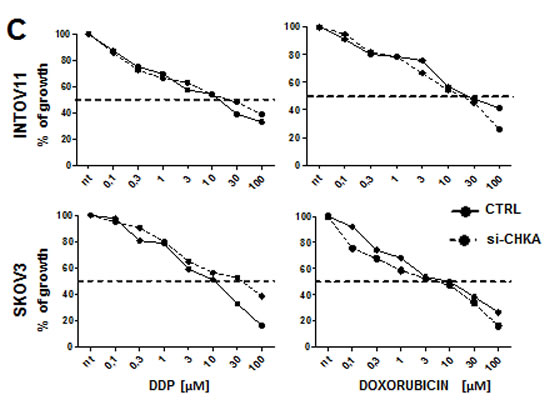 fig6b