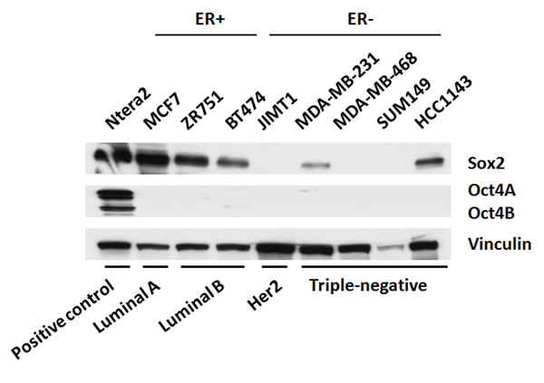 fig1