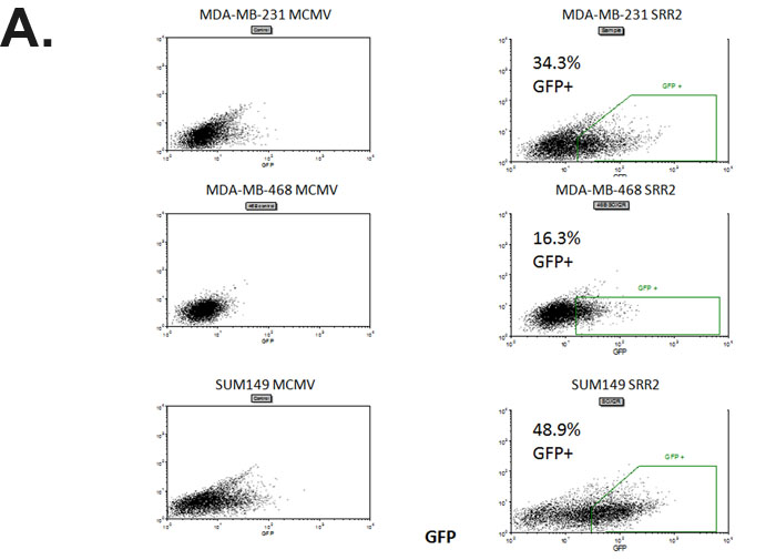 fig2a