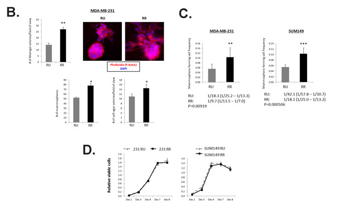 fig3b