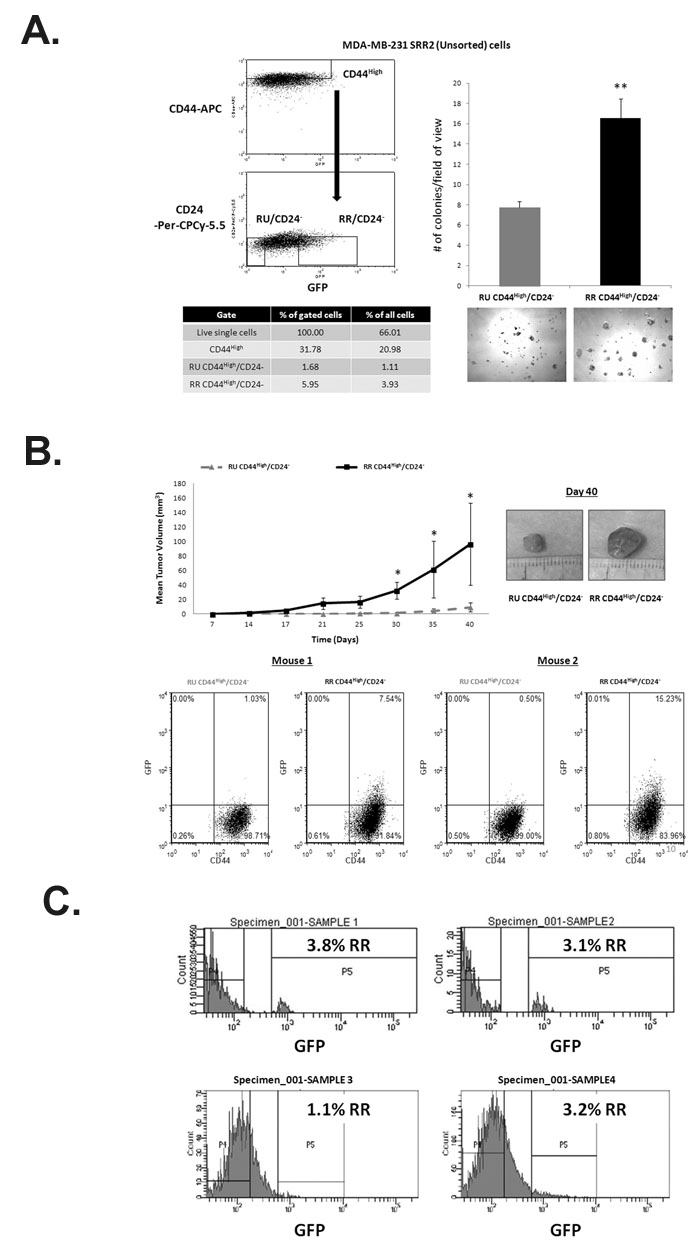 fig4
