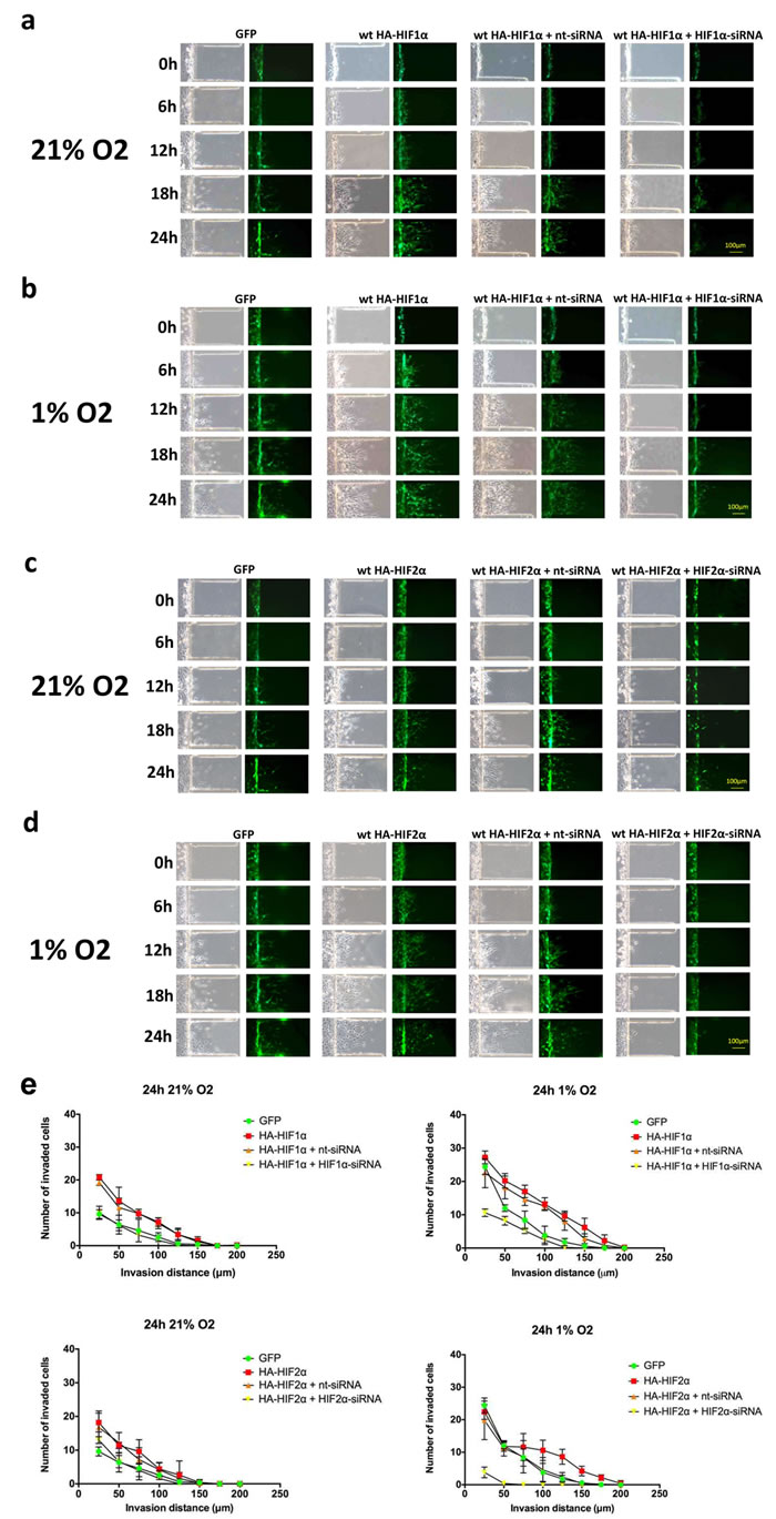 fig6