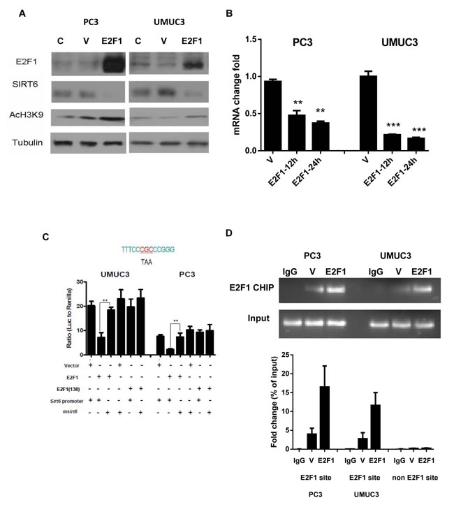 fig2
