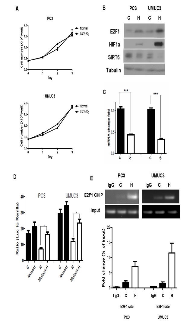 fig3