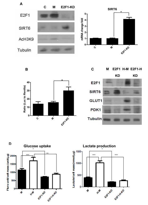 fig4