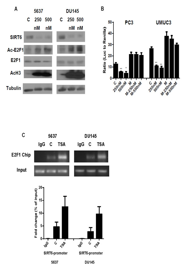 fig6