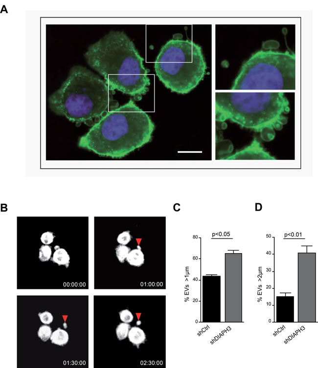 fig1