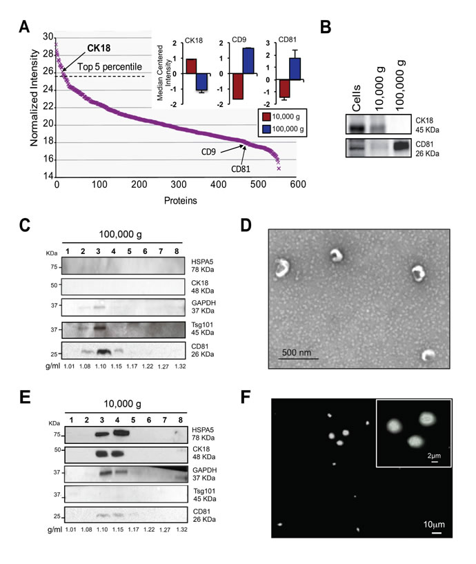 fig5