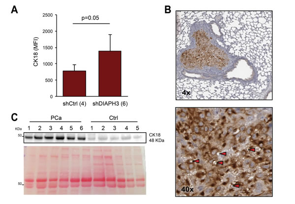 fig6
