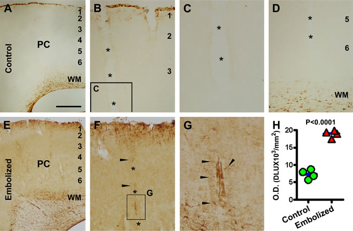fig2
