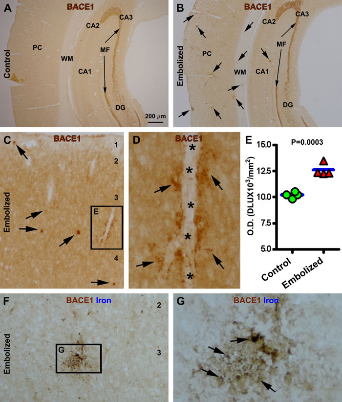 fig5