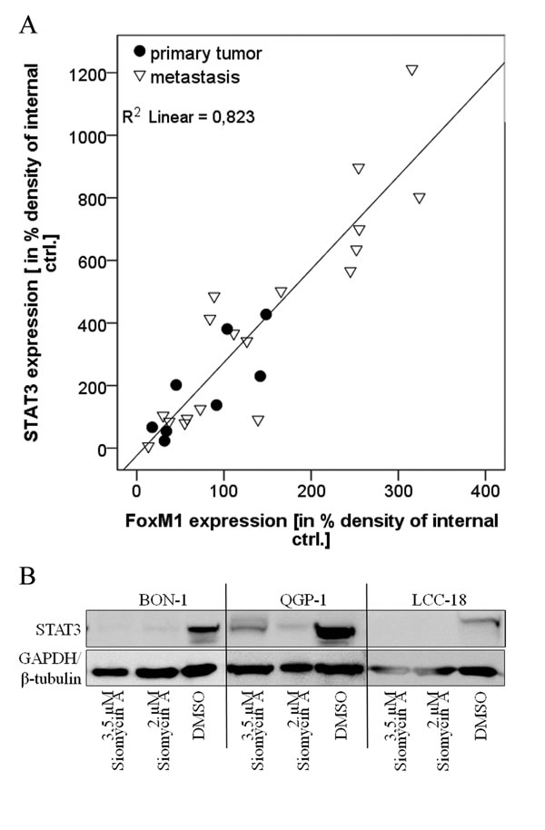 fig2