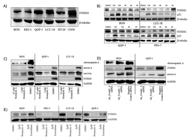 fig3