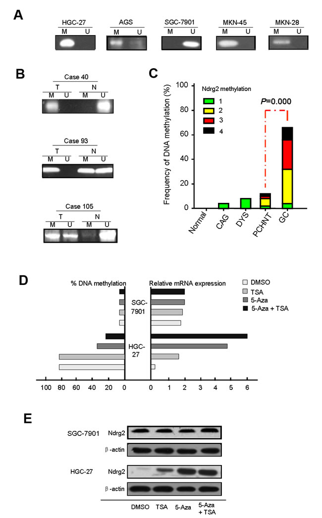 fig2