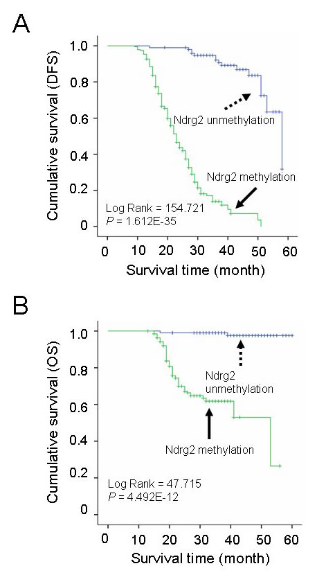 fig4