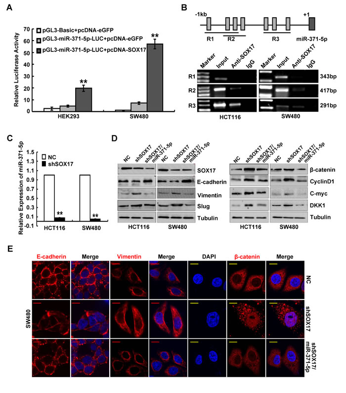 fig3