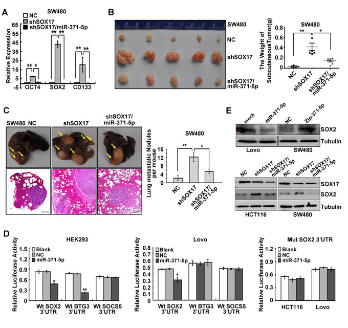 fig4