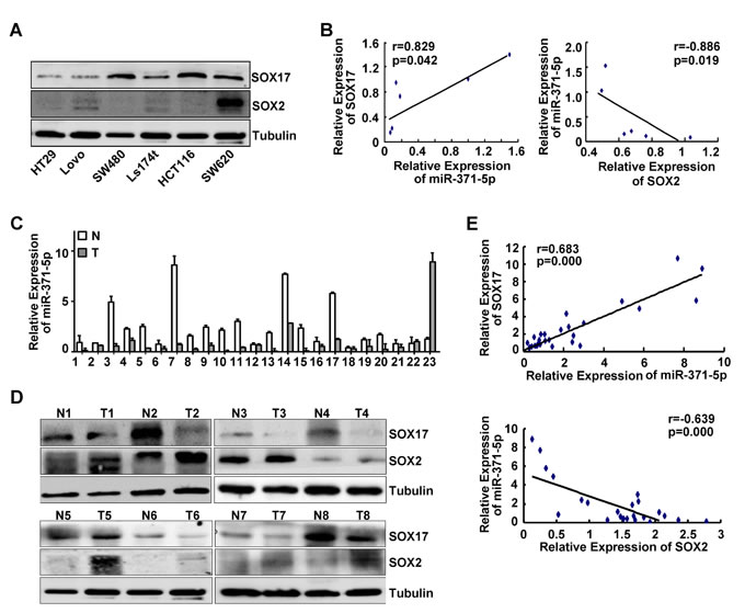 fig6