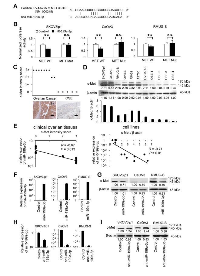 fig3