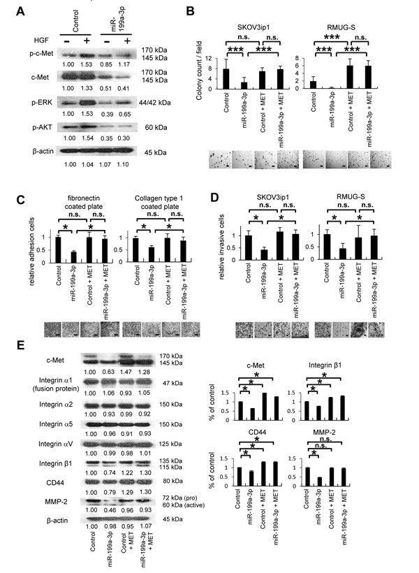 fig4