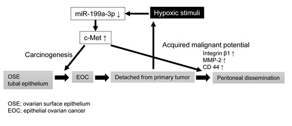 fig6